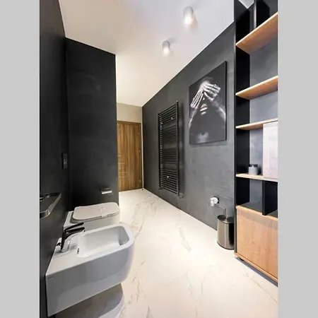 Apartment Mons Penthouse Stylish & Relaxing Brasov